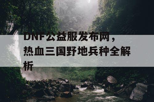 DNF公益服发布网，热血三国野地兵种全解析