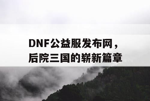 DNF公益服发布网，后院三国的崭新篇章