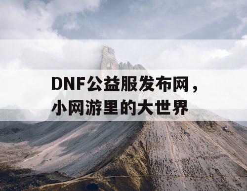 DNF公益服发布网，小网游里的大世界